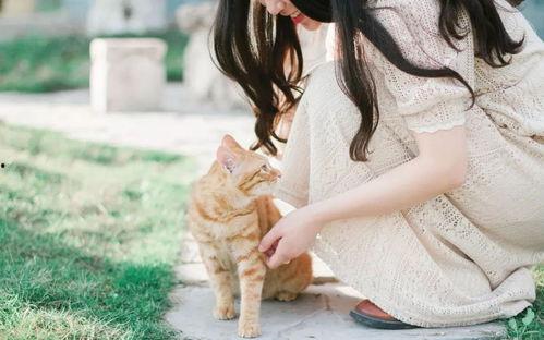 国产双飞任你爽,畅享极致视听盛宴