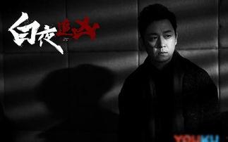 白夜追凶电视剧,黑白交织的悬疑世界，正义与邪恶的终极对决